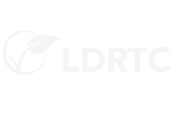 ldrtc2.png