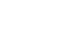 sfei2.png